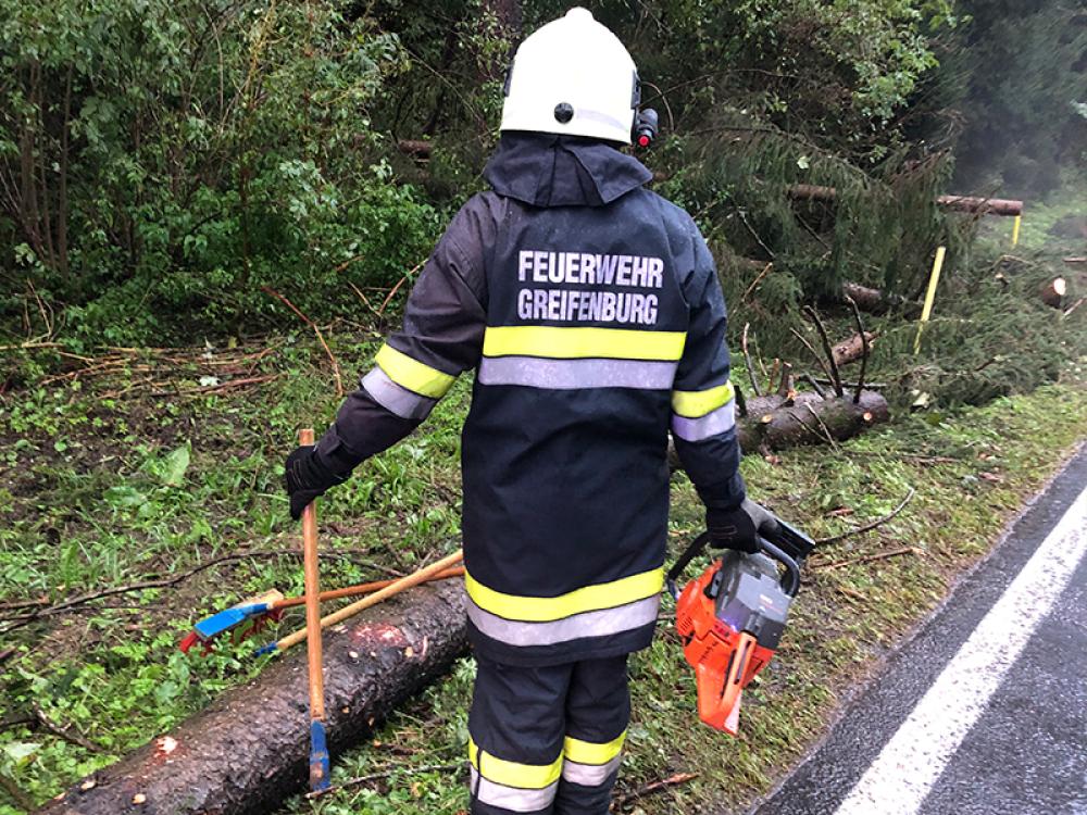 Schwerer Forstunfall am Kerschbaum